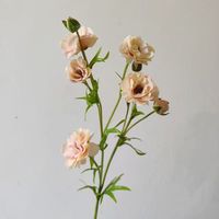 Bunga Buatan Desain Baru 72CM, Sentuhan Asli Lateks, Ranunculus Kupu-kupu untuk Dekorasi Pernikahan dan Rumah