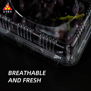 Plats à emporter Rectangle clair 12 pouces avec couvercles Transparent emballage alimentaire Blister utiliser des plateaux en <span class=keywords><strong>PET</strong></span> plateaux alimentaires - Product Image 6