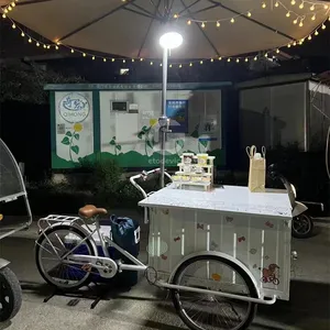 Lebensmittel wagen Dreirad Fast-Food-Wagen Fahrrad elektrische Lebensmittel Eis wagen Dreirad für Fracht