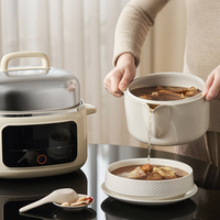Marmite Électrique Domestique en Acier Inoxydable 4,5 L, Corps Blanc Crème, Micro-pression, Cuisson Précise, Élimination de 96 % de l'Huile, Températures Hautes/Basses
