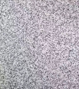 גרניט לבן G603, משטחים וריצוף חצר עשויים לוחות גרניט לבן שומשום מודרני - Product Image 2