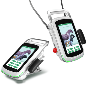 कक्षा 4 पशु भूमध्य रेखा लेजर चिकित्सा उपकरण 980nm 810nm 810nm: पशु चिकित्सा उपयोग के लिए - Product Image 6