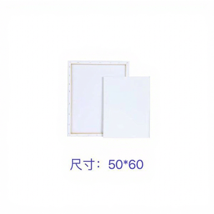 Tela per Pittura in Cotone Premium LIENZOS 50x60 con Cornice Bianca, Prodotto di Alta Qualità - Product Image 1