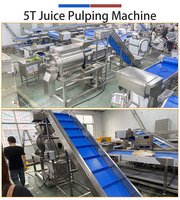 FENGXIANG Mango Bellenwasmachine en -pulpmachine set 1-5 TPH SUS304 voor grote sapfabrieken, maatwerk ontwerp mogelijk