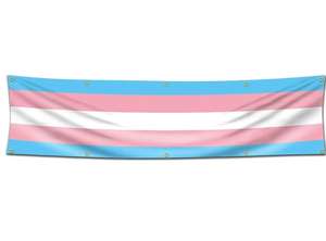 הדפס את עיצוב הלוגו שלך, מילים, דגל 2x8 רגל, דגל גאווה בי-מינית LGBT עם 10 טבעות פליז לחדר חיצוני, מערת גברים - Product Image 5