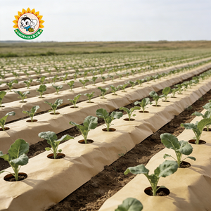 <span class=keywords><strong>Film</strong></span> de paillage en papier biodégradable pour légumes, solution agricole écologique et durable, matériau respectueux du sol, <span class=keywords><strong>agriculture</strong></span> durable - Product Image 4