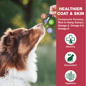 कुत्तों के लिए भांग का तेल तेजी से अवशोषण विटामिन और खनिज आराम के लिए चिंता हिप/संयुक्त दर्द राहत और बेहतर नींद (2 पैक) - Product Image 5