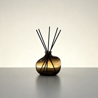 Diffuseur d'huile à roseaux de forme irrégulière avec bâtonnets en fibre et flacon en verre, huile parfumée d'aromathérapie pour la décoration de la maison et du bureau