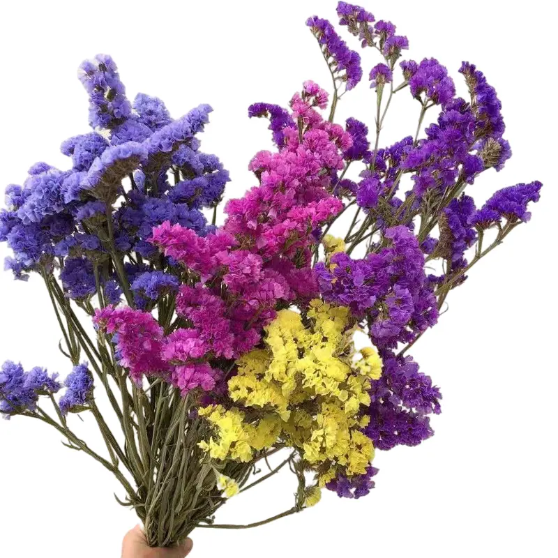 Commercio all'ingrosso La Migliore Vendita Decorativo Myosotis Bouquet di Fiori Secchi Statice Flower & Lavanda di Mare