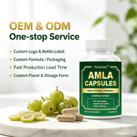 Complément alimentaire antioxydant personnalisé à marque privée, végétalien, 1000 mg d'extrait de superfruits Amla en capsules, riche en antioxydants