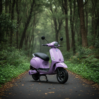 1000W Motorlu Elektrikli Motosiklet Ön Disk Arka Kampana Fren 3.00-10 Tubeless Lastik Yetişkin E Motosiklet
