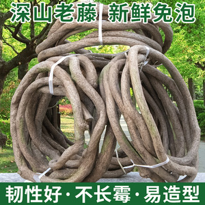 เถาวัลย์ไม้แห้งธรรมชาติสำหรับตกแต่งงานแต่งงาน ขนาด 10 ซม. ลงไปขึ้นไป - Product Image 4