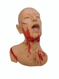 Modelo Anatómico de Cabeza de Silicona Suave de Tamaño Real para Disección Forense con Estructuras Anatómicas Detalladas para Educación Médica Legal - Product Image 3