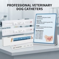 Cathéter urinaire pour chien jetable, sûr et non toxique, en PVC médical stérile, qualité export