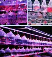 Lot de 50 sacs pour poissons, sacs en plastique transparents pour aquarium, sacs respirants pour petits poissons flottants pour aquarium, en PE, plastique