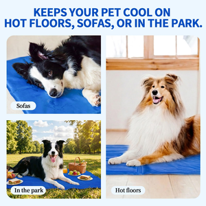 Comfortable Nylon Dog Bed Blanket Waterproof Non-Toxic Self Cooling <b>Mat</b> for Pets Soft Breathable with Cool Feature for Summer - Product Image 4