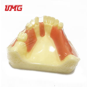 Aides pédagogiques dentaires Modèle de formation aux implants dentaires - Product Image 5