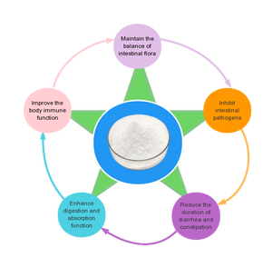 Suministro de polvo de <span class=keywords><strong>Lactobacillus</strong></span> Plantarum, probióticos de grado alimenticio de 99% pureza, 100 mil millones de CFU/g, mantiene la <span class=keywords><strong>flora</strong></span> <span class=keywords><strong>intestinal</strong></span> - Product Image 5