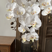 Buket Bunga Plastik Anggrek Phalaenopsis 9 Kepala Buatan untuk Dekorasi Rumah Tamu, Kafe, Festival, dan Perlengkapan Fotografi