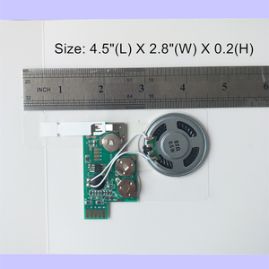<span class=keywords><strong>Chip</strong></span> Ghi Âm 120 Giây Trống Bằng Đường Dây Âm Thanh Từ Điện Thoại Máy Tính Để Tùy Chỉnh Tự Làm Thẻ Âm Thanh Phát Âm Thanh Studio - Product Image 5