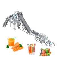Wortelverwerkingslijn Wortelsap Productielijn Wortelpuree Maken Apparatuur