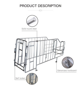 Domuz hayvan kafesleri için yeni tasarım yuvarlak çelik Gestation sandık Columbia için güney amerika pazarı için özel - Product Image 2