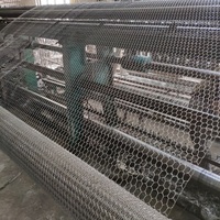 Grillage hexagonal galvanisé pour cages, clôtures, aménagements paysagers, bordures de champs et serres, résistant à l'eau
