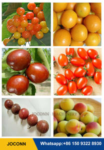Machine <span class=keywords><strong>de</strong></span> classement d'agrumes olive fruits myrtille avocat trieuse trieuse pomme <span class=keywords><strong>de</strong></span> terre tomate - Product Image 6
