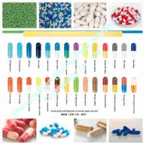 Viên nang lợi khuẩn nhãn hiệu riêng OEM, đạt chứng nhận HACCP, 60 viên/lọ, hạn sử dụng 24 tháng, thực phẩm bổ sung cho sức khỏe đường ruột - Product Image 2