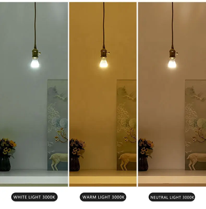 Tasse de lampe en aluminium <span class=keywords><strong>LED</strong></span> Premium à courant constant E27 vis et ampoules <span class=keywords><strong>GU10</strong></span> GU5.3 MR16 disponibles en options 3W et 5W - Product Image 4