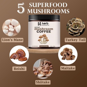 ODM/OEM Marca Privada Polvo de Hongos para Adultos 100g/bolsa 1 Cuchara (5g) por Porción Melena de León Reishi Shiitake Energía Concentración Memoria - Product Image 4