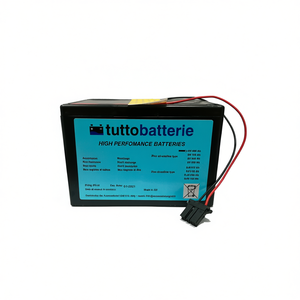 Batería Alcalina de 9V 100Ah con Conector Parkeon Stelio - Product Image 3