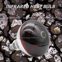 Nouvelle Lampe Chauffante Infrarouge Épaissie pour Élevage 100W/150W/200W/250W, pour Couveuse d'Animaux, Poulets, Porcs, avec Garantie 1 An