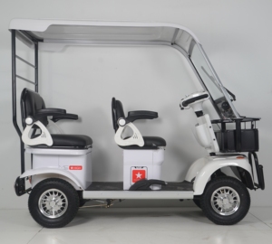 <span class=keywords><strong>Precio</strong></span> de fábrica 1000W Triciclo eléctrico de pasajeros Scooter 48V 60V <span class=keywords><strong>Cuadriciclo</strong></span> eléctrico con cubierta de lluvia de techo - Product Image 4