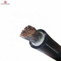 JBQ High Temperature Motor Lead Cable Oil Resistant Flexible 0.66/1.14kV for Industrial Motors