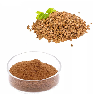 Extracto de Trigo Sarraceno Silvestre Tártaro de Alta Calidad, Sin OMG, 10:1 en Polvo, Secado al Aire Caliente, Superalimento para el Apoyo Inmunológico, Sin Gluten, Alimento Saludable - Product Image 1