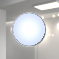 Couverture de lumière LED blanche de 1,3 mm en polycarbonate, diffuseur opale