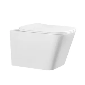 Western Cera Wc Floating Commode Flush Tank Hidden Wall Mounted Water Closet White Wall Hung Toilet Bowl With Rimless