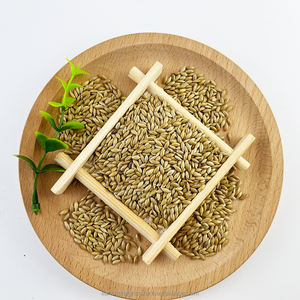 Fabriek Groothandel Alpiste Vogelzaad Voor Canari Geel-Rij Groenvink Bulk Kanarie Zaadprijs - Product Image 5