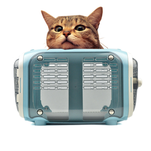 calidad de la aviación portátil de plástico gato <span class=keywords><strong>perro</strong></span> de lujo <span class=keywords><strong>para</strong></span> mascotas <span class=keywords><strong>caja</strong></span> aérea aprobado de jaulas de transporte - Product Image 1