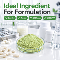 Poudre de Fisetine 98% CAS 528-48-3 Extrait Végétal Flavonoïde Senolytique Qualité Alimentaire Complément Matière Première Cosmétique en Vrac