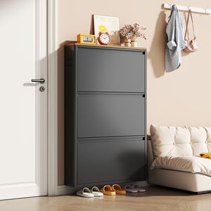 Zapatero Moderno IYANEN de Acero con Puerta Abatible, Mueble Zapatero Metálico con Tapa de Madera para Entrada y Pasillo - Product Image 2