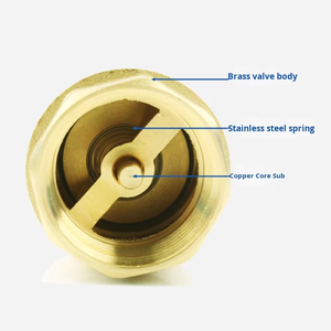 <span class=keywords><strong>Valvola</strong></span> <span class=keywords><strong>di</strong></span> Non ritorno verticale in ottone per prevenzione del riflusso-<span class=keywords><strong>valvola</strong></span> resistente per tubo dell'acqua/<span class=keywords><strong>scaldabagno</strong></span>/1/2 per serbatoio <span class=keywords><strong>di</strong></span> pressione " - 4" - Product Image 5