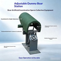 Support de Montage pour Truies Artificielles – Équipement pour la Collecte de Semence de Truies et l'Insémination Artificielle – Outil en Acier Inoxydable pour Exploitations Porcines