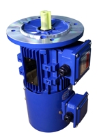Le fabricant Hilr peut développer des moteurs, notamment des moteurs asynchrones triphasés à fréquence variable. YVF2 HP100.HP112.HP132.HP160