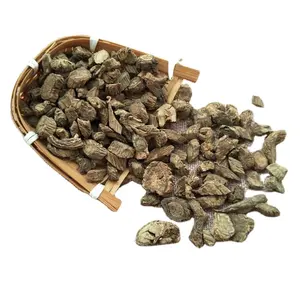 Xu Duan Crude Dried Radix Dipsaci/Teasel Root For Herb