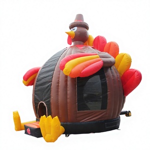 Château gonflable commercial WINSUN - Couleur personnalisée, ignifuge, imperméable, PVC, installation facile, aire de jeux pour fêtes en plein air - Product Image 1