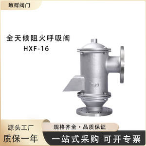Válvula antillamas Hxf 4 de acero fundido y acero inoxidable con conexión de brida de 2 pulgadas para líquidos corrosivos - Product Image 3