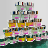 Poudre acrylique et pigment pour ongles 3-en-1 de haute qualité, couleur Neno, effet beurré, collection 2026