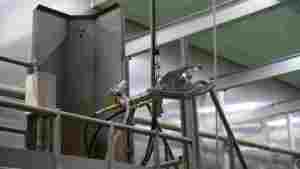 Équipement d'abattage de qualité industrielle pour bovins, pour des opérations d'abattage efficaces en abattoir - Product Image 3